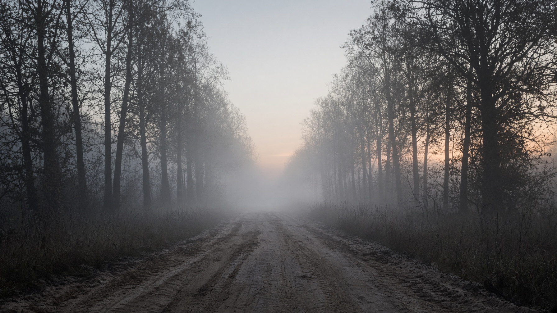 A path at dawn. One direction. Start walking.
